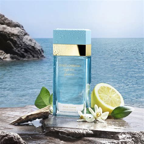 dolce gabbana light blue 2021|dolce gabbana light blue original.